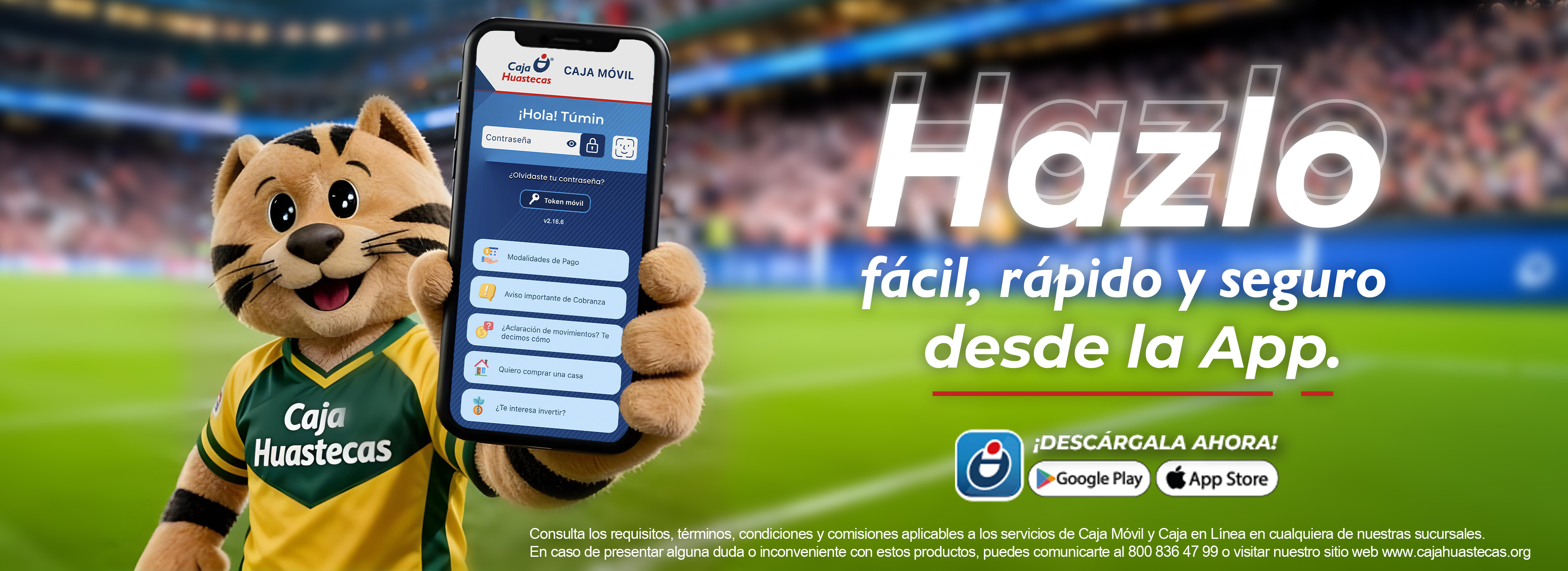 APP
